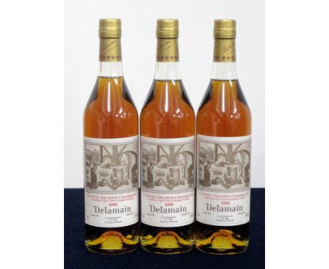 v 3 70-cl bts Delamain Grande Champagne Cognac 1995  Landed 1997 bottled 2013