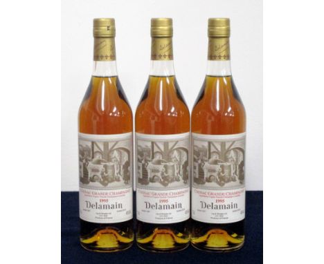 v 3 70-cl bts Delamain Grande Champagne Cognac 1995  Landed 1997 bottled 2013