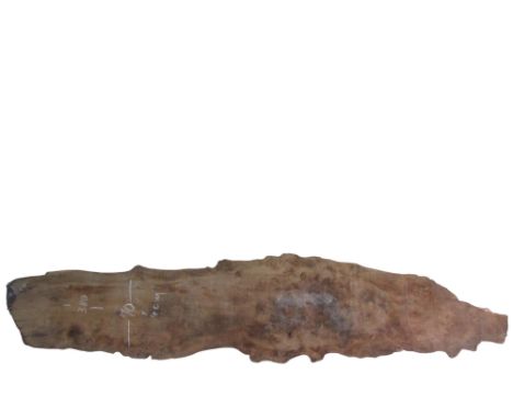 A massive elm plank, 380 cm x 70 cm x 4 cm