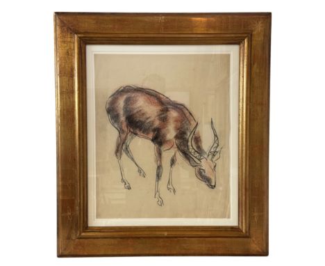 School of John Rattenbury Skeaping (1901-1980) - Study of a Redbuck, pastel, unsigned, 54 x 44 cm, framed