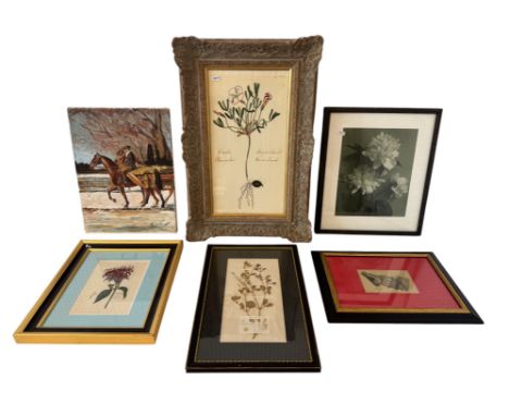 Six framed works, to include: Horse rider in the snow, oil on canvas; two prints of botanical studies, one in lime-washed fra