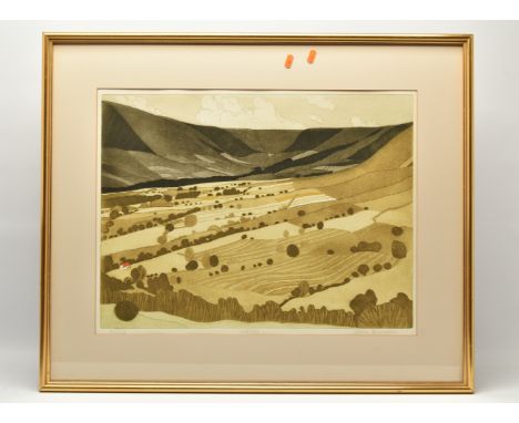 JOHN BRUNSDON (1933-2014) 'EDALE' A PEAK DISTRICT LANDSCAPE, limited edition aquatint etching numbered 165/350,approximate si