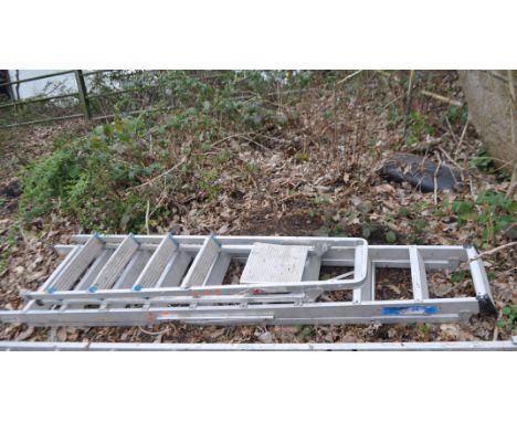 TWO ALUMINIUM STEP LADDERS, the largest being 230cm high