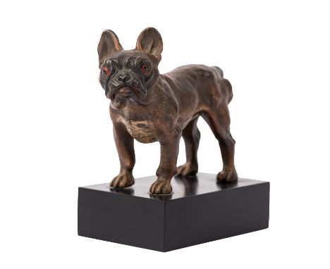 WIENER BRONZEFIGUR "Französische Bulldogge" um 1900 Carl Kauba (1856-1922), Bronzeskulptur, naturalistisch bemalt, patiniert,