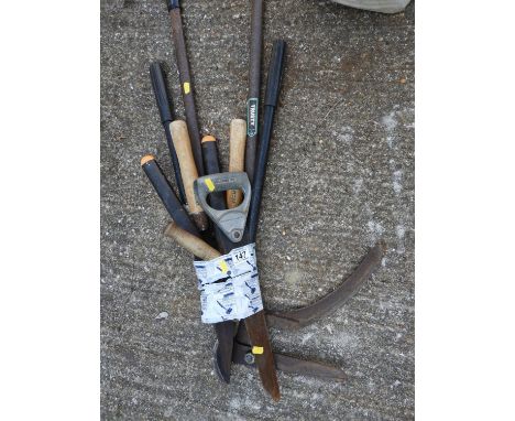 Quantity of Garden Tools 