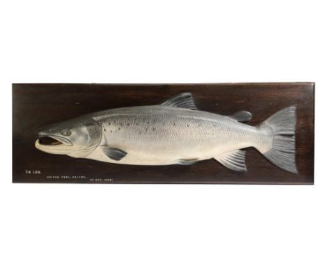 A George V carved wood and painted half-block model of a salmon attributed to the Fochabers Studio, mounted on a stained pine
