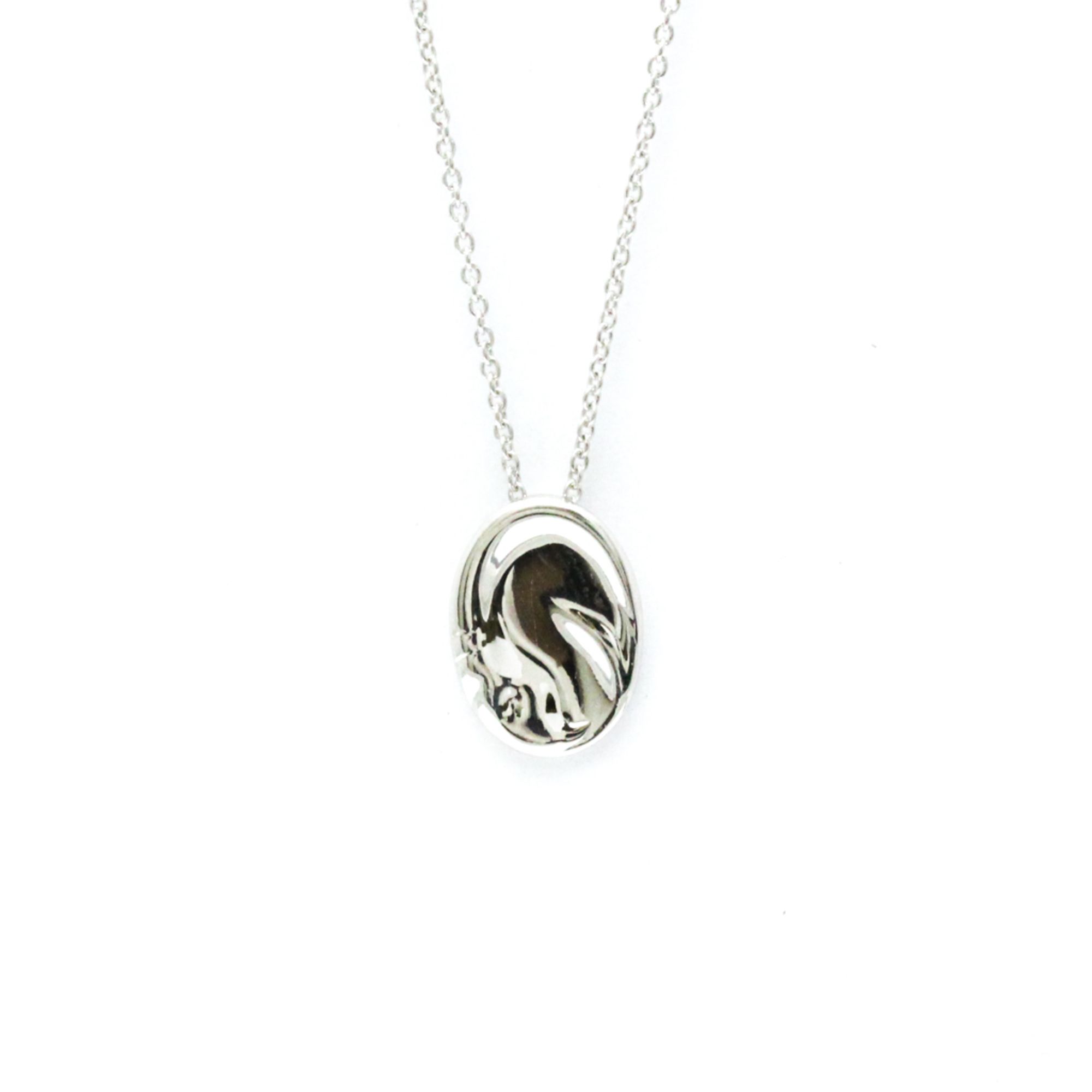 Tiffany Capricorn Necklace Platinum No Stone Women,Men Fashion Pendant Necklace (Silver)