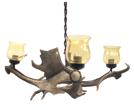 Taxidermy - Fallow deer antler three branch hanging light fitting, with amber glass shades, H35cm, W79cm Condition Report Cli