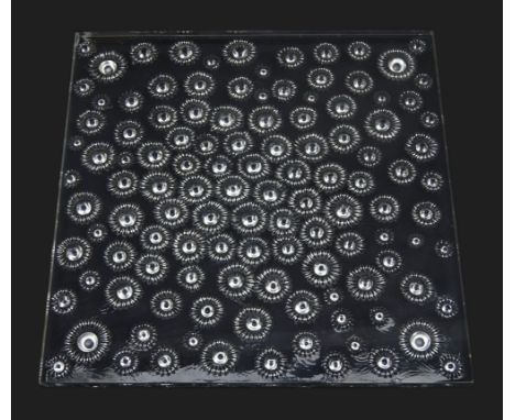 Lalique Aster pattern clear glass square panel, 23cm x 23cm  Condition Report Click here for further images, condition, aucti