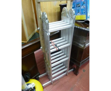 Eckman multi-way ladder