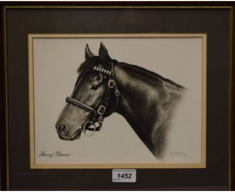 Harry R Nance, (20th century)Shareef Dancer Racehorse, sketch and wash, signed and dated, 20 x 26cm