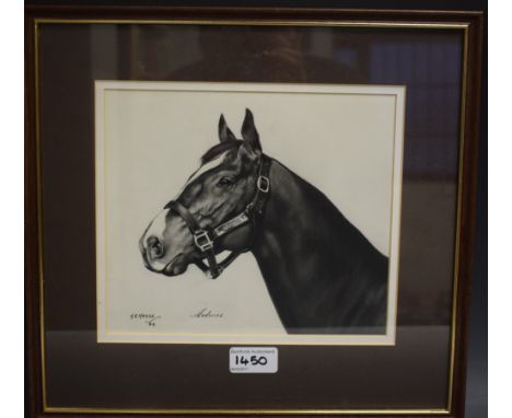 Harry R Nance, (20th century)Ardross Racehorse, sketch and wash, signed and dated, 19 x 22cm