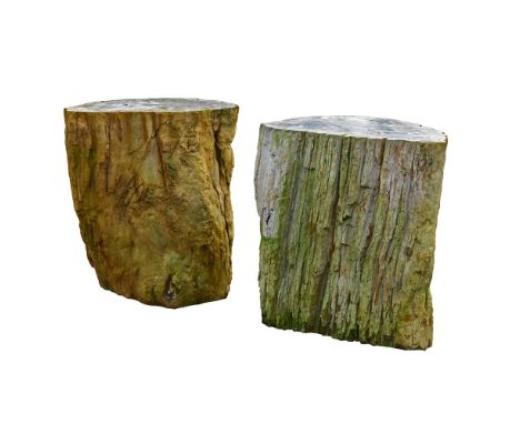 TWO PART POLISHED PETRIFIED WOOD STOOLS MODERN Each trunk sliced in cross section, with textured edges first approximately 45