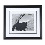 λ JOHN SWANNELL (BRITISH B.1946), NUDE UTAH