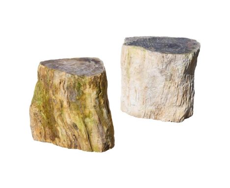 TWO PART POLISHED PETRIFIED WOOD STOOLS Each trunk sliced in cross section, with textured edges first approximately 47 x 33cm