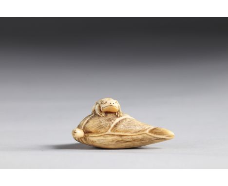 Netsuke carved - a frog on a leaf. Japan Meiji 19th centuryRegion: JAPANSizes: L=55mm l=20mmWeight (K): 0,019kgCondition: at 