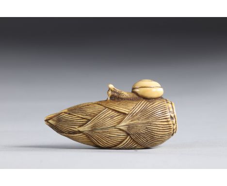 Netsuke carved - an ear surmounted by a snail. Japan Edo periodRegion: JAPANSizes: L=60mm H=30mmWeight (K): 0,027kgCondition: