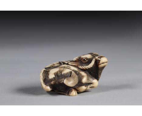 Netsuke carved - a lying buffalo. Japan Meiji period late 19th signatureRegion: JAPANSizes: L=47mm H=25mmWeight (K): 0,025kgC