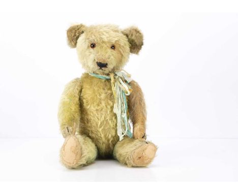 A 1930s German blue tipped golden mohair teddy bear, with orange and black glass eyes, pronounced muzzle, black stitched nose