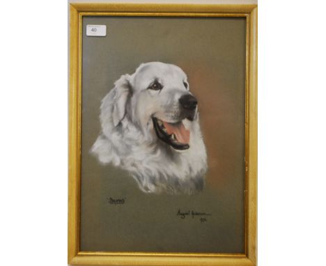 Margaret Anderson. A pastel portrait of a dog being titled `Brunds `, signed lower right and dated.H27xW23