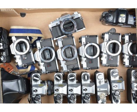 A Tray of Olympus OM SLR Camera Bodies,  one Olympus OM-1, eleven OM-10, ONE WITH Zuiko 50mm f/1.8 lens, one OM-20, one OM-30