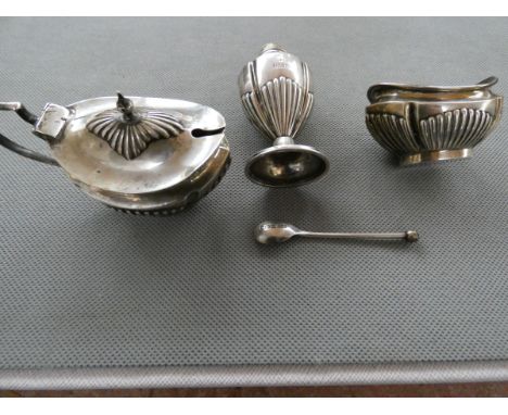 Silver Condiment Set Maker J. R Birmingham 