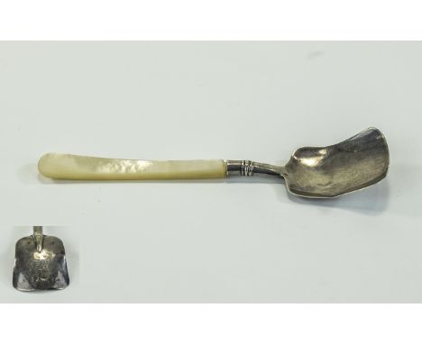 Georgian Silver Caddy Spoon Mother Of Pearl Handle, Fully Hallmarked (rubbed) Length 5 Inches