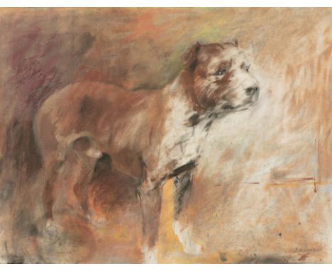 Basil Blackshaw HRHA RUA (1932-2016)DogPastel and oil on paper, 51 x 69cm (20 x 27'')SignedProvenance: Formerly in the collec
