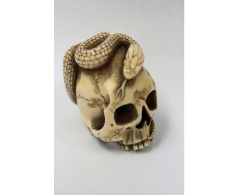 A Japanese carved ivory netsuke modelled in the form of a skull with entwined serpent.