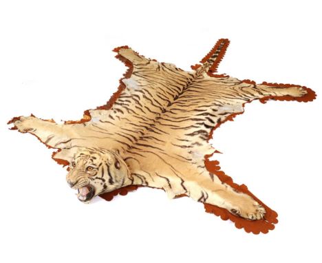 Taxidermy: Indian Tiger (Panthera tigris tigris) circa 1900-1919, by Theobald Bros, Taxidermists, Mysore, India, skin rug wit