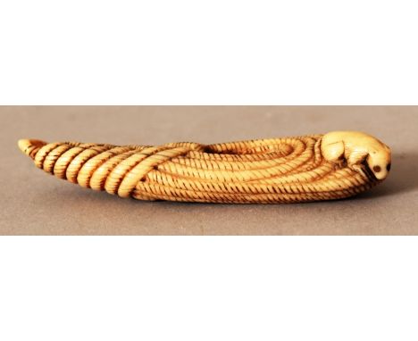 A GOOD JAPANESE EDO/MEIJI PERIOD BONE NETSUKE, unsigned, carved in the form of a rat standing on the edge of a long tightly b