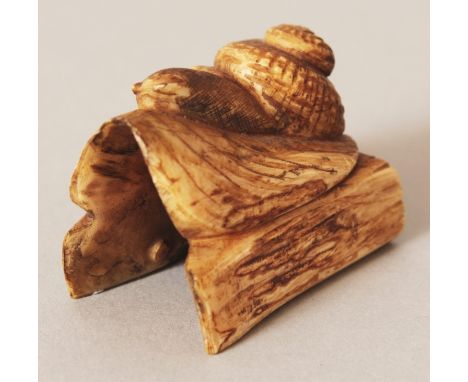 A SIGNED JAPANESE STAINED IVORY NETSUKE OF A SNAIL, creeping forward over a leaf and logs, the base with an engraved signatur