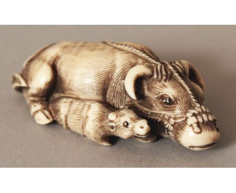 A GOOD JAPANESE MEIJI PERIOD TOMOTADA SCHOOL IVORY NETSUKE OF AN OXEN & ITS YOUNG, unsigned, each recumbent animal with natur