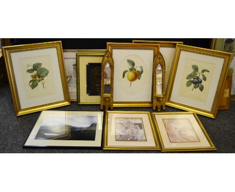 A set of four Botanical prints; others; a pair of gilt wall sconces; etc (9)