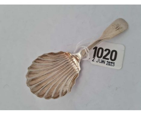 Scottish fiddle pattern caddy spoon with shell bowl. Glasgow  1850 By J R