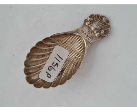 A caddy spoon with shell shaped bowl
