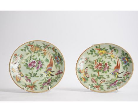 A pair of late 19th or early 20th Century Chinese Canton enamel plates,  on a celadon ground, with decoration of birds, butte