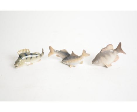 Three small porcelain studies of fish by Royal Copenhagen and Bing &amp; Grondahl,  a conjoined pair no. 2870, a perch no. 25