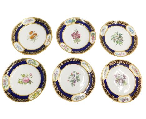 A set of six Catalpa-Sevres n/x marked botanical plates, with gilt blue borders having reserves, 24cm diameter.