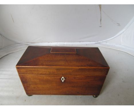 A mahogany sarcophagus tea caddy
