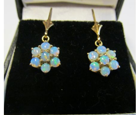 Some gold and opal earrings