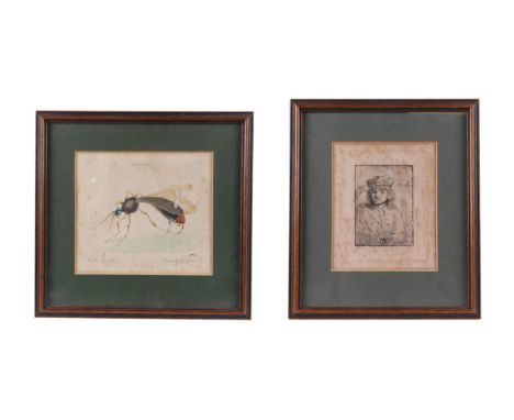 After Rembrandt - Portrait of Titus - numbered 236, framed & glazed, 12 by 15cms; together with a study of a mottled sawfly, 