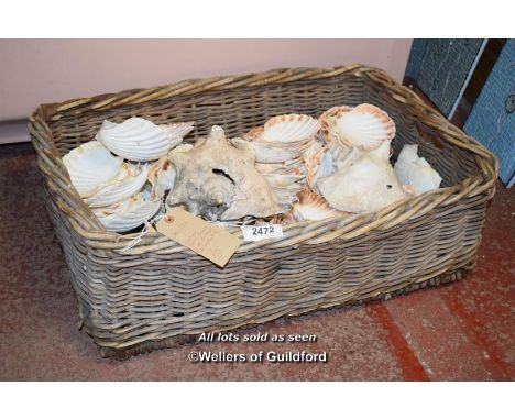 VINTAGE FRENCH LOG BASKET CONTAINING VARIOUS SHELLS