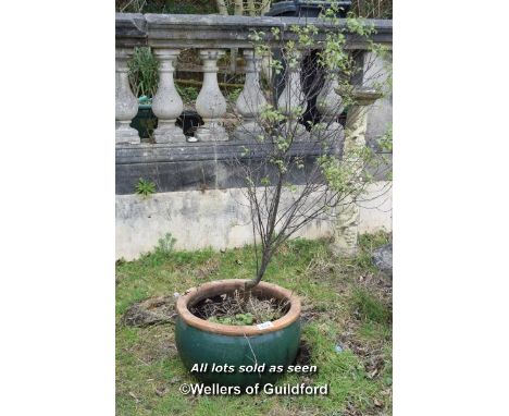 SALT GLAZED PLANTER