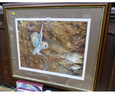 Limited edition print of an owl by Dorothea Buxton Hyde 