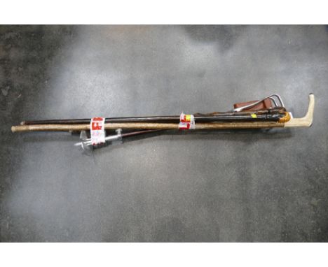 Shooting stick and three walking sticks 
