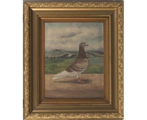 C.H. WADSWORTH (19th/20th Century), Portrait of the Racing Pigeon "Remembrance", oil on canvas, signed and dated 1912, inscri