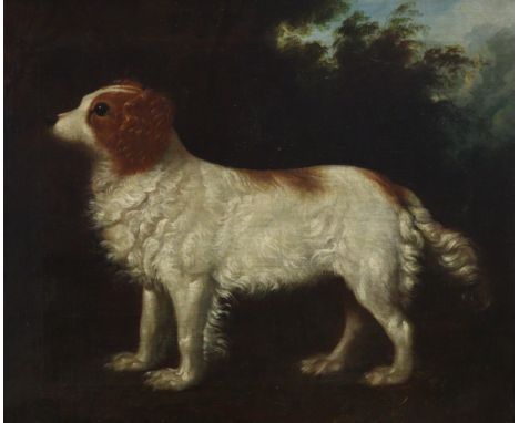 Manner of GEORGE STUBBS (1724-1806). Portrait of an English water spaniel in a landscape, late 18th century; oil on canvas: 2