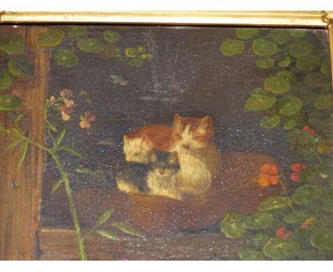 HENRIETTE RONNER KIP.   (1821-1909)    A WARM CUSHION,  SIGNED OIL ON PANEL.    14 x 18cms.