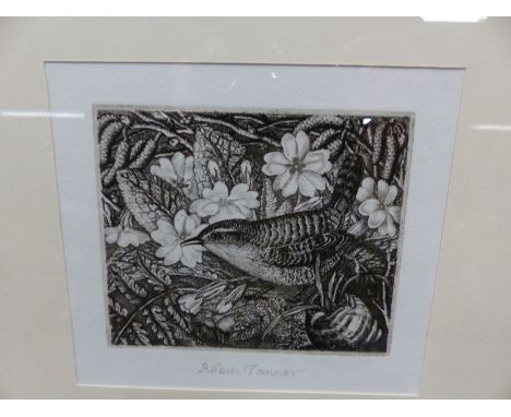 ROBIN TANNER.   (1904-1988)  ARR.   WREN AND PRIMROSES, PENCIL SIGNED ETCHING. 13 x 14cms.